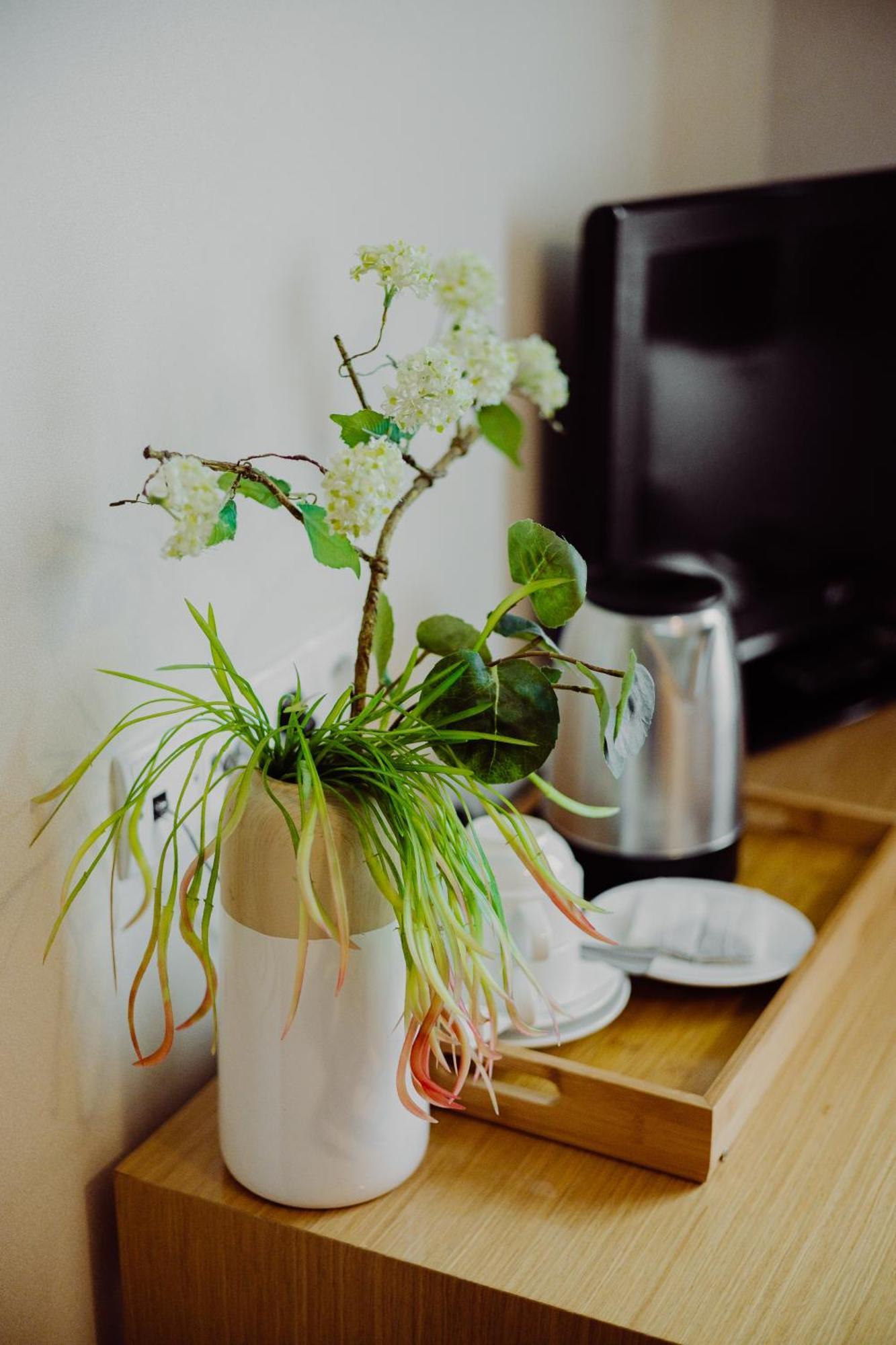 Hotel Bonsai นิเอมจา ภายนอก รูปภาพ